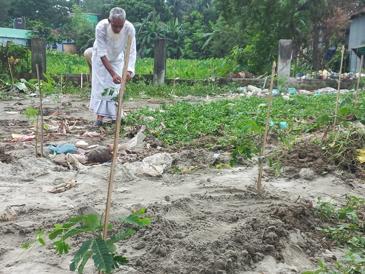 আশুলিয়ায় বনের দখলকৃ জায়গা উদ্ধার করে বৃক্ষ রোপন