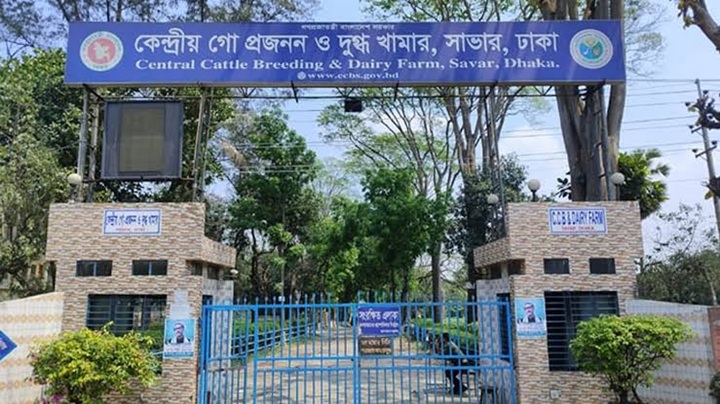 সাভার ডেইরী ফার্মে বহিরাগত বখাটের হামলায় এক কর্মচারী মৃত্যুশয্যায়