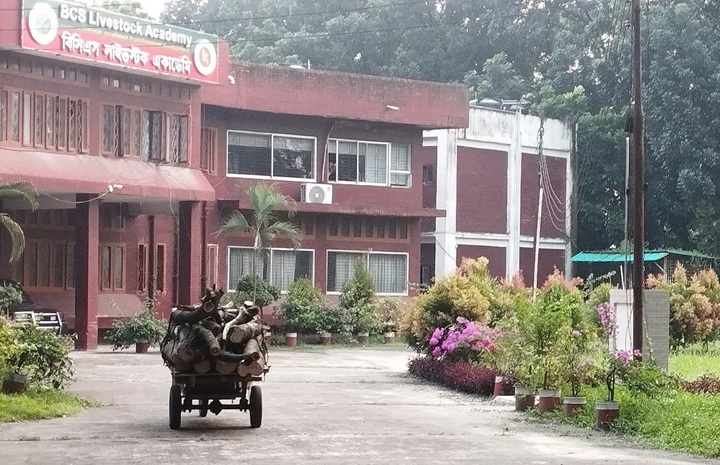 বিসিএস লাইভস্টক একাডেমিতে অনুমোদন ছাড়াই ৮ গাছ কাটার অভিযোগ